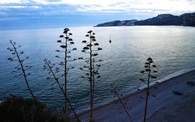 Al sur de Granada, azul mar y verde montaña