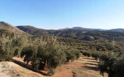 Inland Paradise – Jaen City and Province
